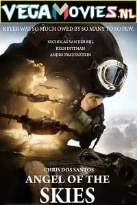 angel of the skies 2013