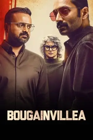bougainvillea 2024