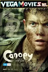 canopy 2013