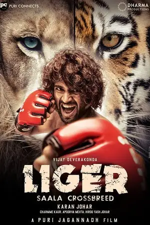 liger 2022