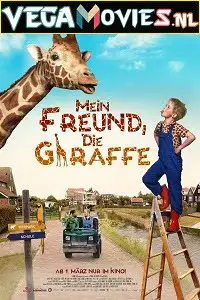 my giraffe 2017