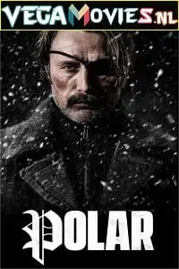 polar 2019