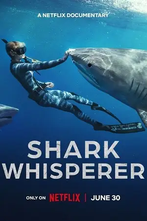 shark whisperer 2025