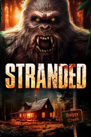 stranded 2023
