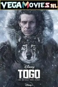 togo 2019