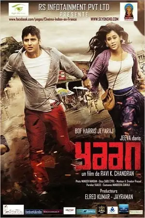 yaan 2014
